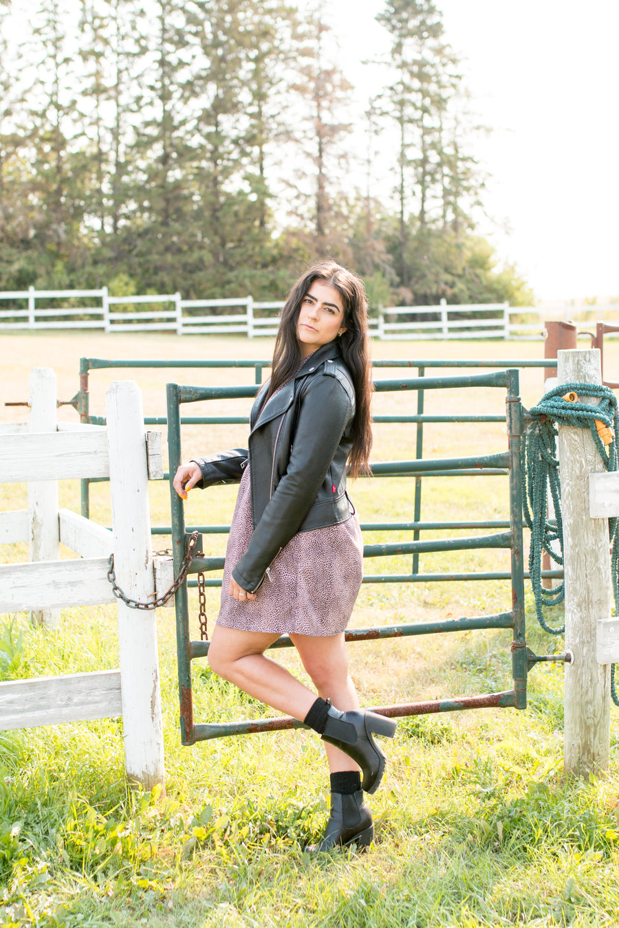 Madison Animal Print Long Sleeved Dress